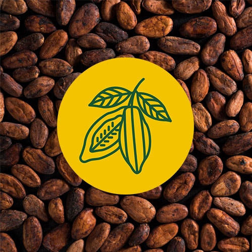 Un círculo color amarillo con una ilustración de una planta de cacao sobre una imagen de un montón de granos de cacao.