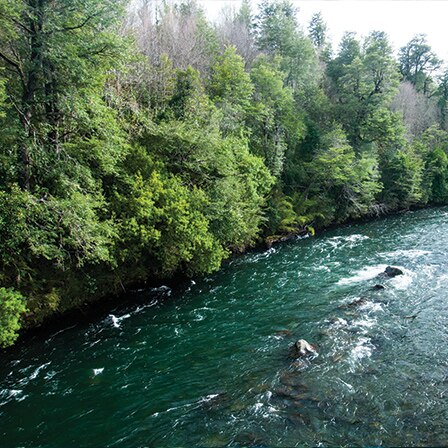 Un río corriendo sobre rocas junto a un bosque.
