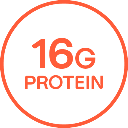 "16G PROTEIN" written in an orange outlined circle.
