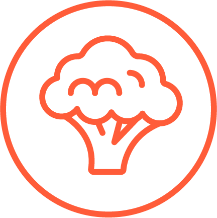 A white cauliflower floret in an orange outlined circle.