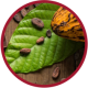 Una imagen con contorno color rojo de granos de cacao sobre una hoja de cacao cerca de una vaina de cacao. 