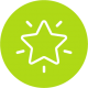 Ilustración vectorial blanca de una estrella brillante en un círculo verde.